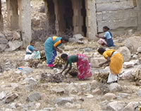 Women Clearing Brush